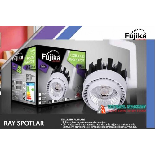 Fujika Ray Spot